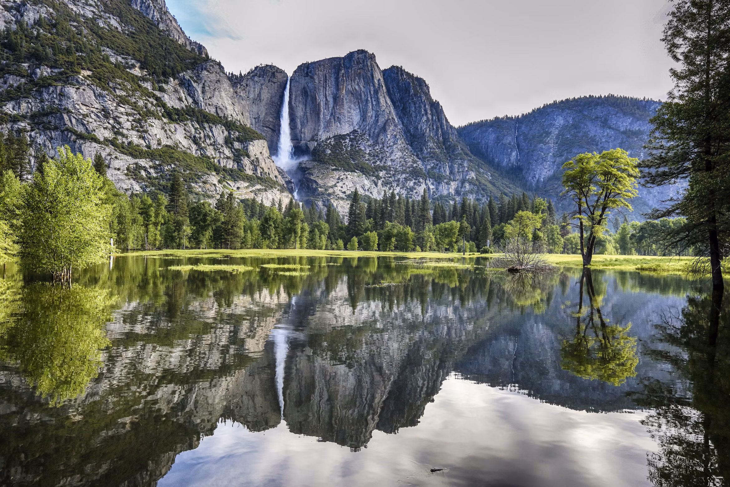 Yosemite Tour